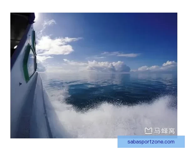 沙巴打不开怎么办？解决常见问题的详细步骤与建议